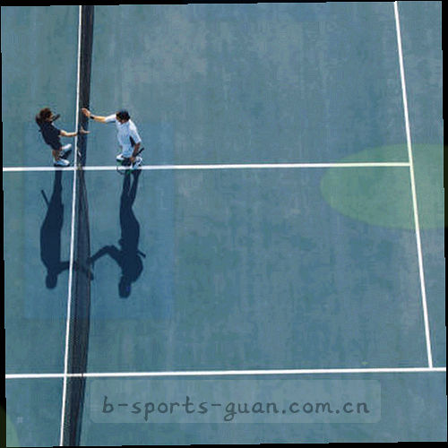 抽象体育场灯光线条，紫色与金色交织的动感光影